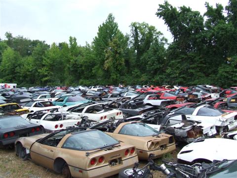 Contemporary Corvette's salvage yard