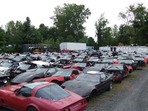 Contemporary Corvette's salvage yard